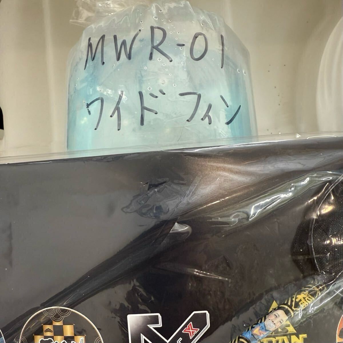 本家直系 MWR-01WF 1ペア【めだか　メダカ　和墨　金閣　銀閣】0417①_5