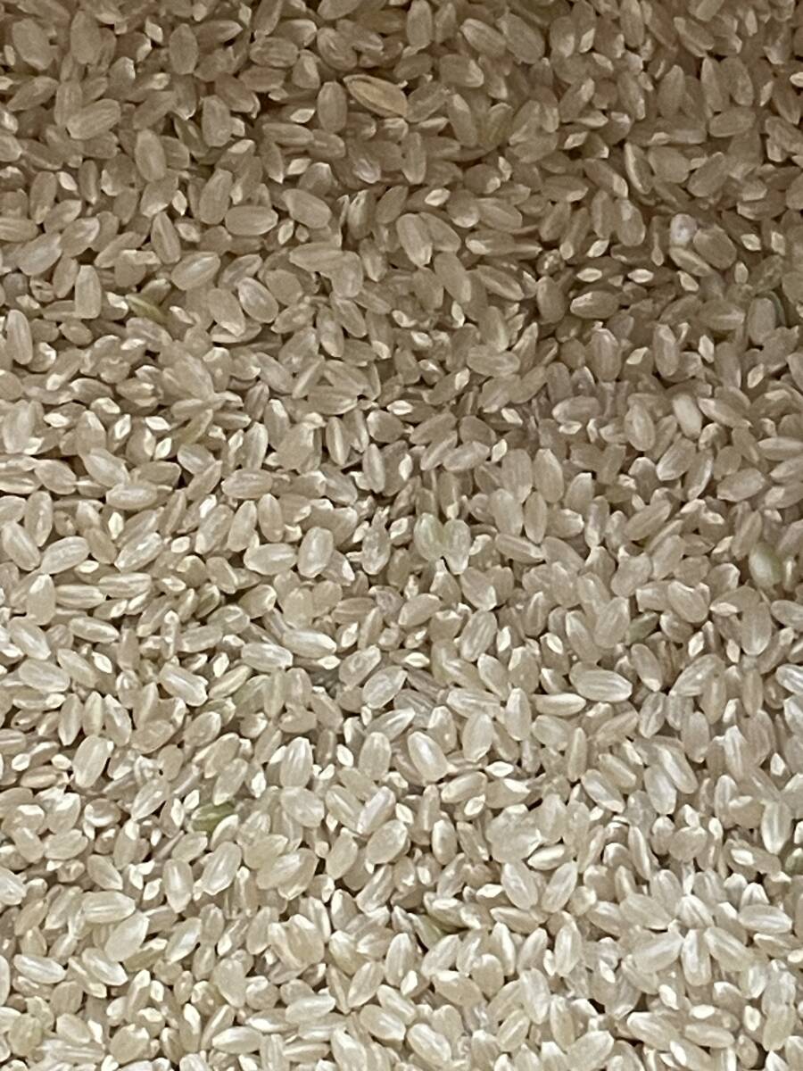 25ｋｇ令和６年秋田県産あきたこまち大潟村特別栽培米 検査米１等玄米２５キロ☆送料無料(北海道沖縄除く)2024年産！正味重量25.15ｋｇ_3