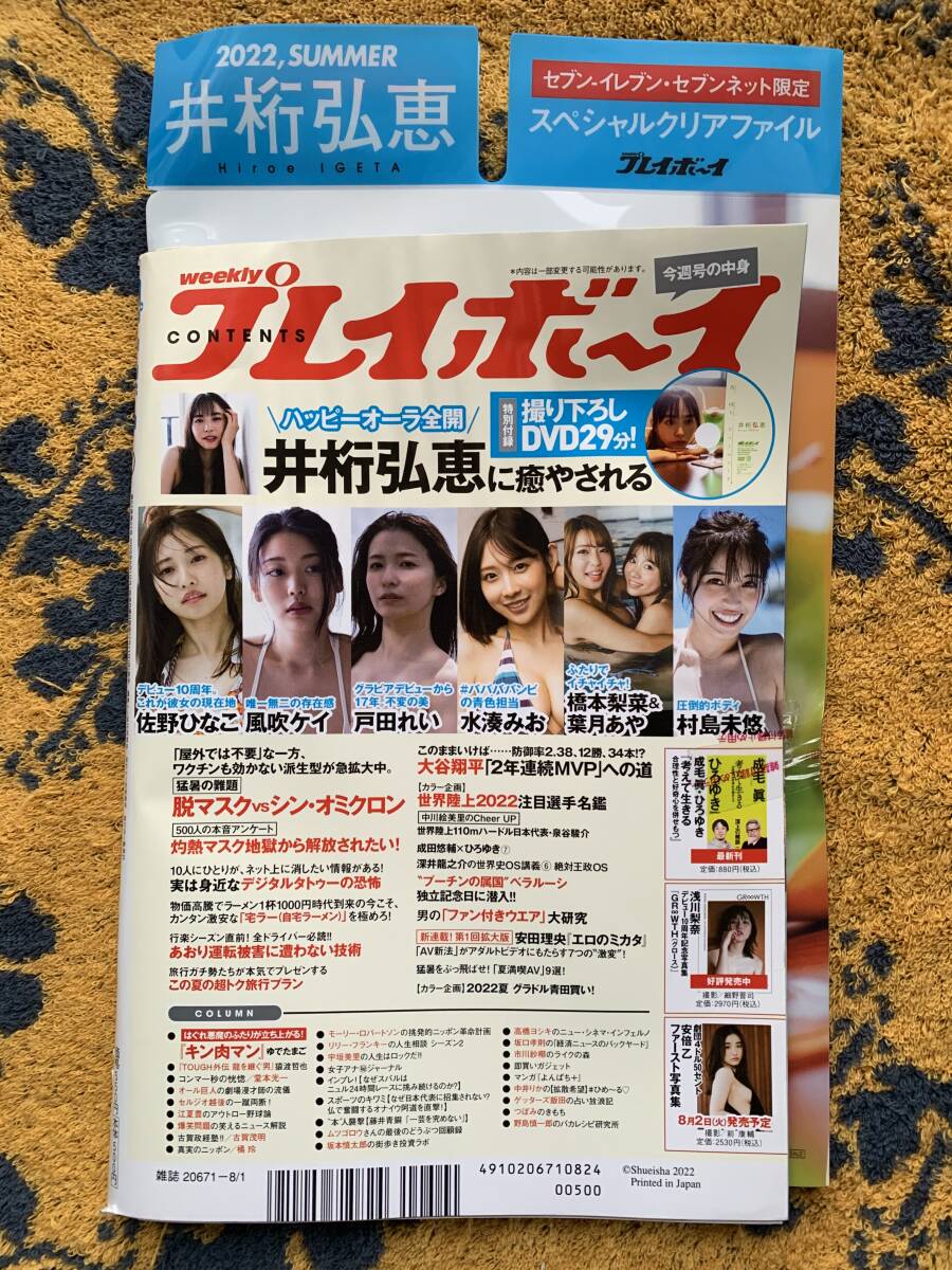 井桁弘恵 表紙&巻頭グラビア スペシャルクリアファイル・DVD付 週刊
