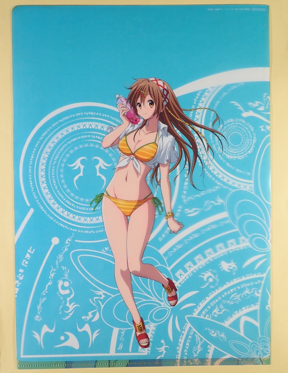 ◇ 丹生谷森夏 ビキニ水着 クリアファイル 「小鳥遊六花・改 ～劇場版