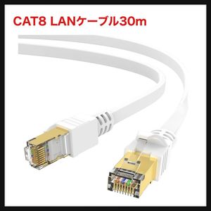 【開封のみ】LEKVKM★CAT8 LANケーブル30Mカテゴリ8イーサネットケーブルLEKVKM RJ45フラ