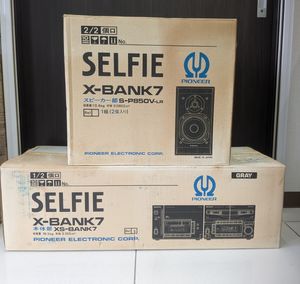 PIONEER SELFIEの値段と価格推移は？｜2件の売買データからPIONEER