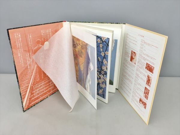 生誕80年 放浪の天才画家 山下清 心の名画集 24枚セット 2601BKO097