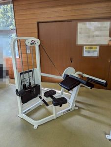 【引取限定】J2311◆CYBEX/サイベックス◆プローンレッグカールマシン◆5kg～86kg◆ピン