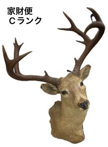 鹿 剥製の値段と価格推移は？｜16件の売買データから鹿 剥製の価値が