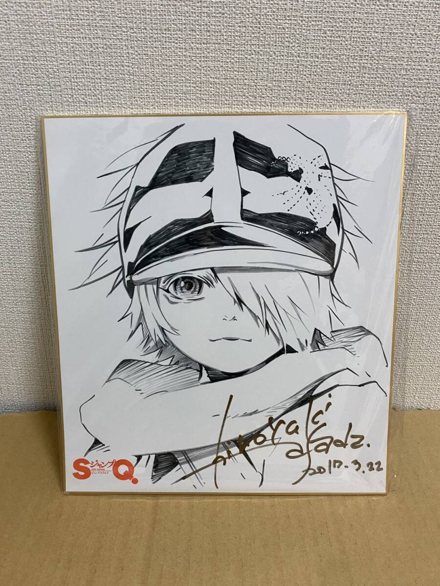 浅田弘幸 直筆サインイラスト色紙 テガミバチ ラグ・シーイング(サイン