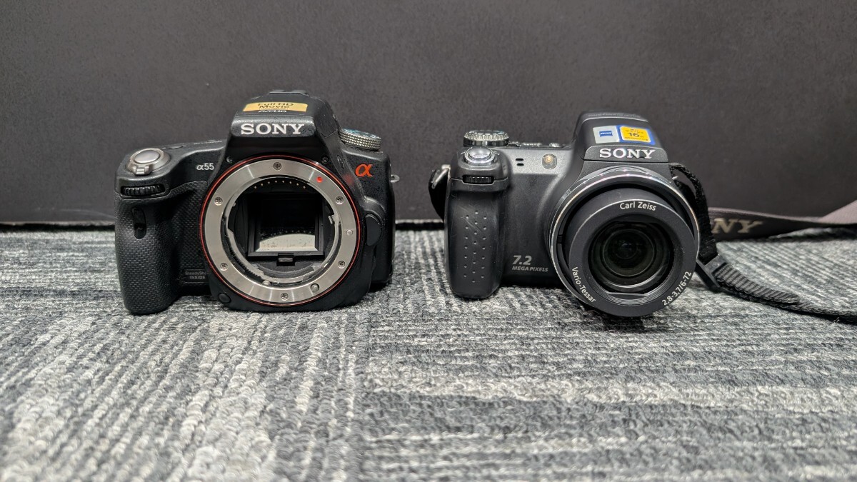 ソニー SONY α700 DT 55-200mm 望遠 レンズセット デジタル一眼レフ 