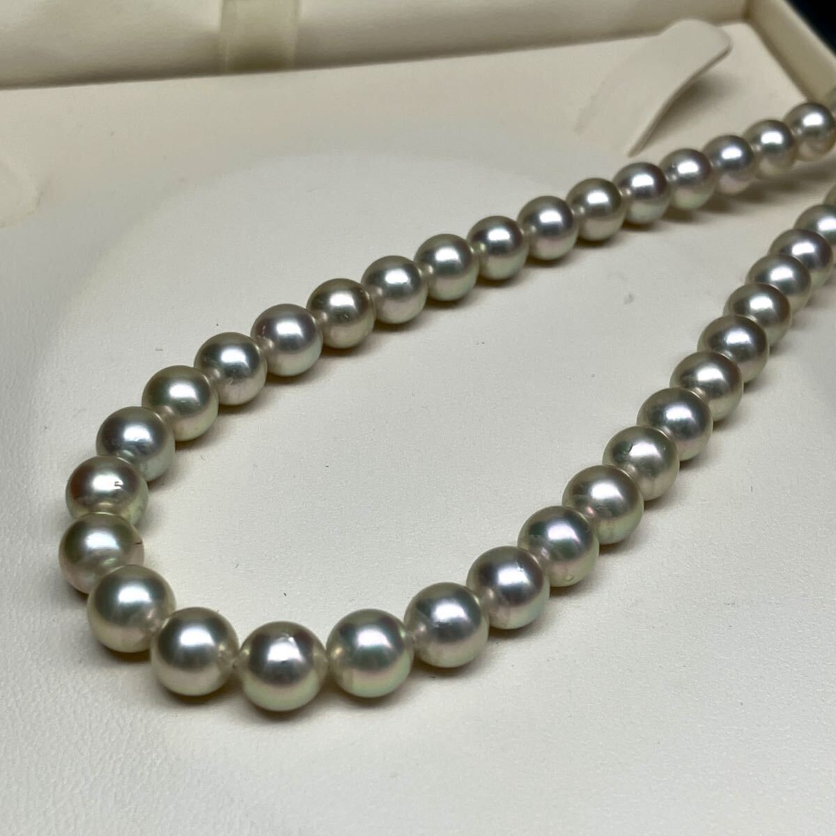 テリ強】あこや真珠 グレー パール ネックレス 約7.0-7.4mm シルバー