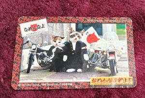 カードなめ猫免許証の値段と価格推移は？｜1件の売買データからカード