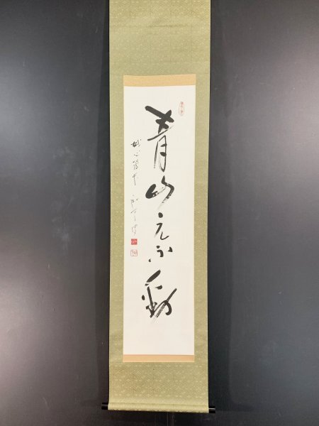 ほぼ未使用 掛け軸 松山寛恵 仁山「淡若水」肉筆 共箱 臨済宗妙心寺派茶掛茶道具 YN968 真作 松山寛恵 仁山「青山元不動」掛け軸 紙本 肉筆 合箱 臨済宗