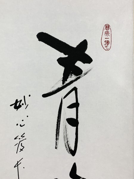 ほぼ未使用 掛け軸 松山寛恵 仁山「淡若水」肉筆 共箱 臨済宗妙心寺派茶掛茶道具 YN968 真作 松山寛恵 仁山「青山元不動」掛け軸 紙本 肉筆 合箱 臨済宗