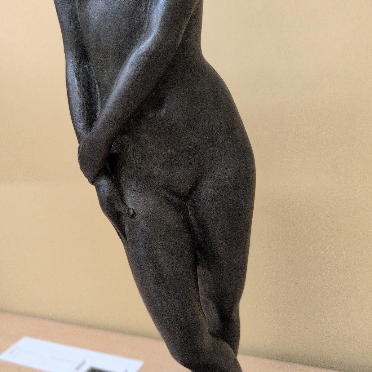 ブロンズ像 裸婦像 ⑦ 新潟佐渡出身の彫刻家 林昭三 作 ブロンズ彫刻