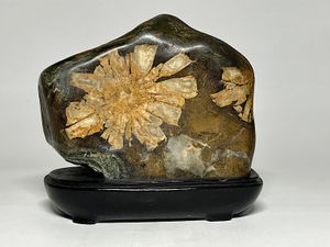 早い者勝ち！最終価格　菊花石　 天然石 鉱物 置物 Amazon.co.jp: 白菊562g 菊花石 菊紋石 小菊石 花紋石 原石 鑑賞石