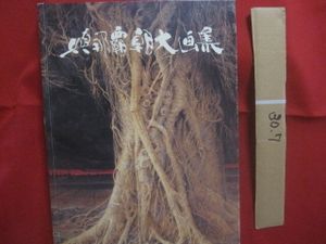 與那覇朝大の値段と価格推移は？｜2件の売買データから與那覇朝大の