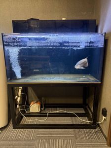 120アクリル水槽用 ウールボックス引き出し式 上部フィルター 奥行き