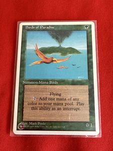 極楽鳥 MTGの値段と価格推移は？｜6件の売買データから極楽鳥 MTGの