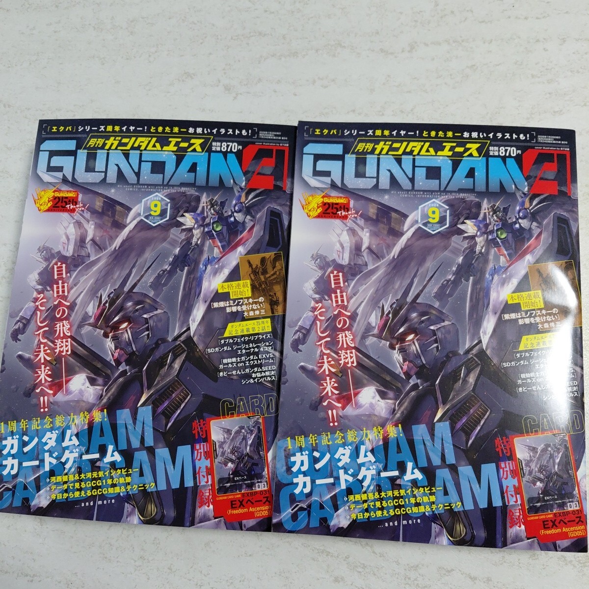 ガンダムエース10月号付録 EXBP-032 ｜129件の売買データ アムロ&