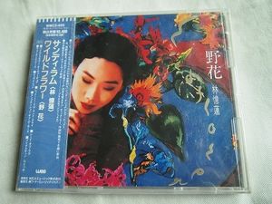 216位 サンディ・ラム「野花」　　未開封盤　　1992年　　/ 中華ポップス