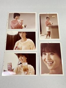 松田聖子 生写真の値段と価格推移は？｜29件の売買データから松田聖子