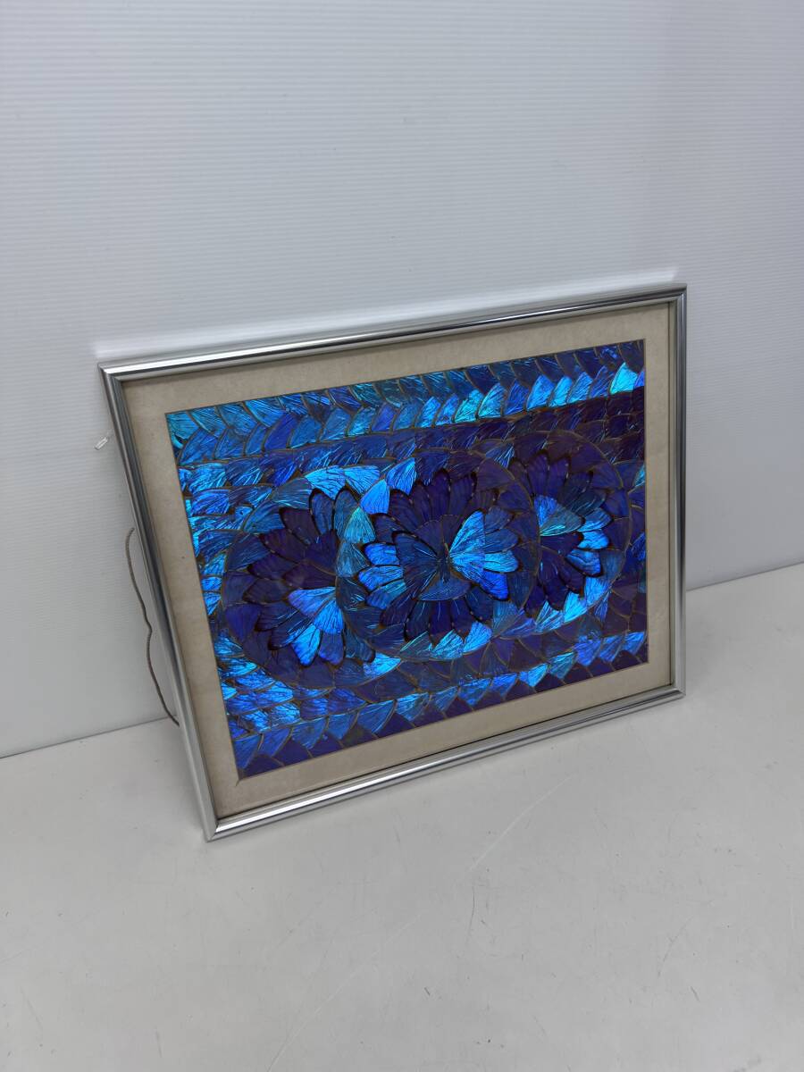蝶 羽 アートの値段と価格推移は？｜4件の売買データから蝶 羽 アート