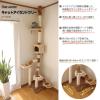 ≪送料無料!!≫ キャットタワー 突っ張りタイプ 【つっぱり♪】_1