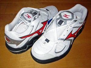 ミズノ ハンドボールシューズ外用 16kh 25 5cm シューズ 売買されたオークション情報 Yahooの商品情報をアーカイブ公開 オークファン Aucfan Com