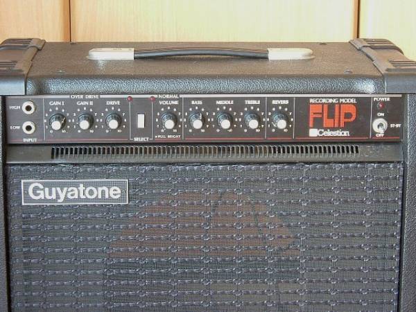 Guyatone ga-200fx フルチューブ（Guyatone GA-200FX FLIP フル 