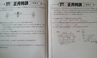 早稲田アカデミー・小6・NN難プロ・正月特訓テキスト・算数・3冊(中学