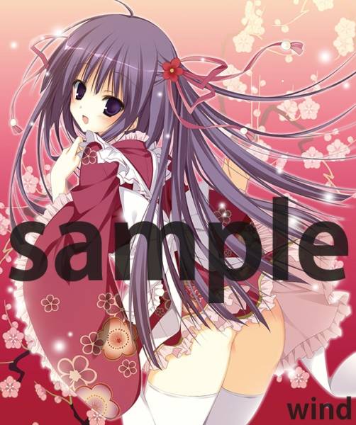 Wind梅酒企画 100限定 狗神煌描き下ろし特大シーツ NECOTOXIN(コミック 