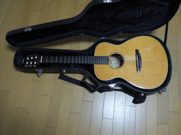 ヤマハFPX-300N YAMAHAナイロン弦 エレガット エレアコ ケース付 