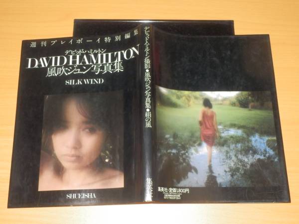 写真集 風吹ジュン ヌード SILKWIND 絹の風 デビッドハミルトンの入札