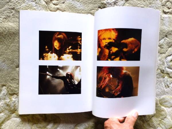 Dir en grey 視覚 a dead ange ディルアングレイ写真集 送料t