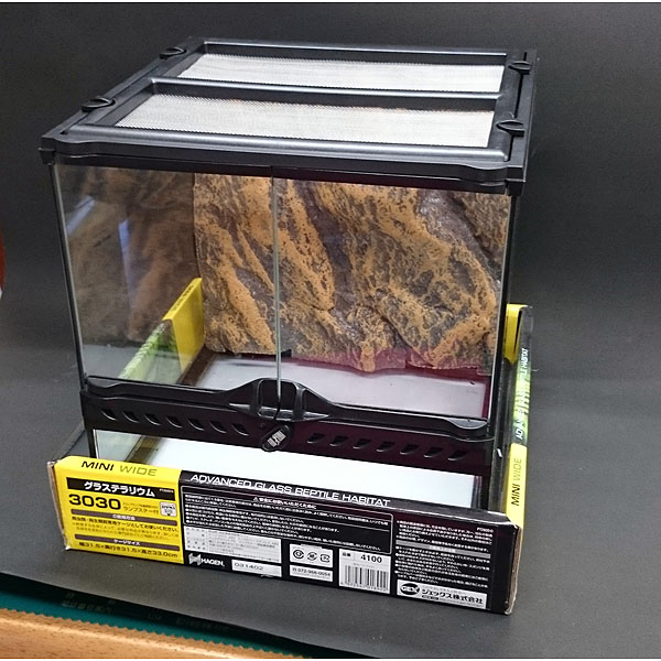 品 Gexグラステラリウム3030 爬虫類ケージ 飼育ケース 売買されたオークション情報 Yahooの商品情報をアーカイブ公開 オークファン Aucfan Com