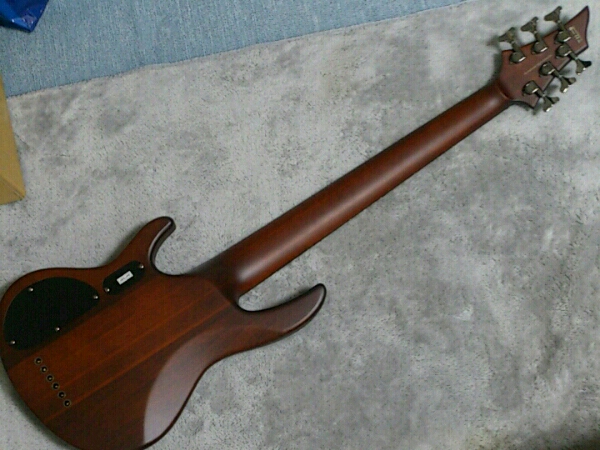 Grass Roots G-D6-80 グラスルーツ 6弦ベース (エレキベース本体 