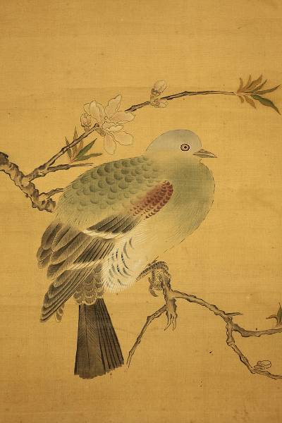 掛軸・書画 【桃鳩図】 江戸時代絵師 狩野探幽落款 模写 y853(花鳥