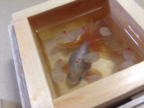 深堀隆介 金魚酒 瑚ノ花 13年作品 等級 極金 金魚枡 オブジェ 売買されたオークション情報 Yahooの商品情報をアーカイブ公開 オークファン Aucfan Com