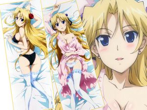 14年05月 カンピオーネ エリカ 抱き枕のヤフオク の相場 価格を見る ヤフオク のカンピオーネ エリカ 抱き枕のオークション売買情報は2件が掲載されています