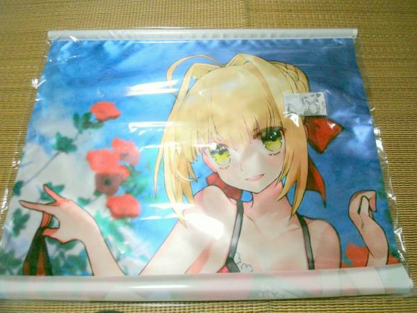 Fate/EXTRA CCC セイバーARタペストリー ワダアルコ(コミック、アニメ 