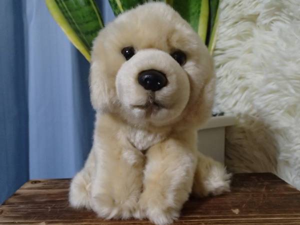 内祝い レガロ ぬいぐるみ ぬいぐるみ Semanadalinguaalema Com Br 内祝い レガロ ぬいぐるみ ぬいぐるみ Semanadalinguaalema Com Br