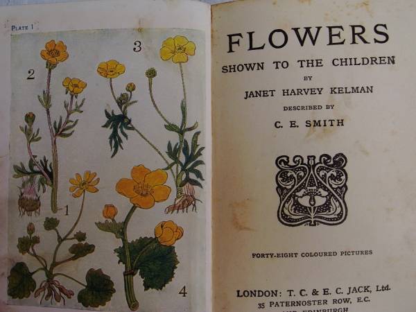 L-767 洋書古書 植物画64枚＆解説書がセットになった