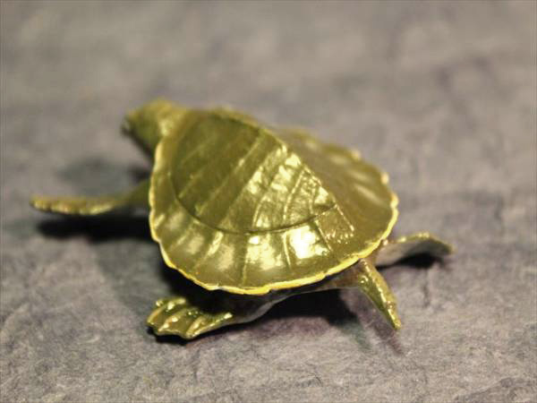 スッポンモドキ 数量限定レアフィギュア カエル工房 生き物 売買されたオークション情報 Yahooの商品情報をアーカイブ公開 オークファン Aucfan Com