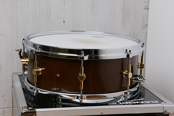 Canopus Zelkova14×5.5