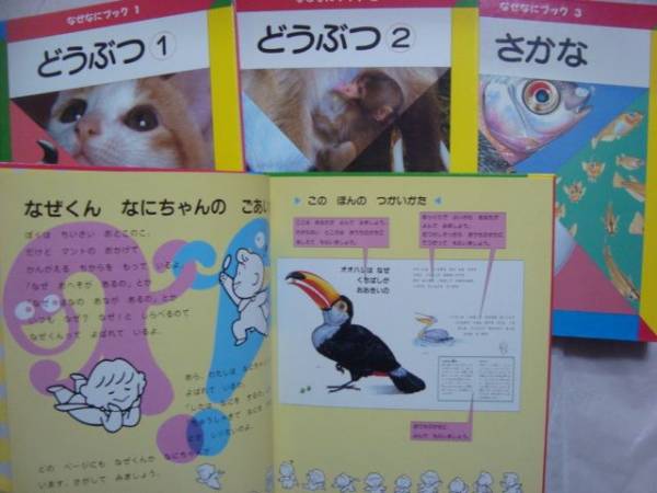 家庭保育園 なぜなにブック 全22巻