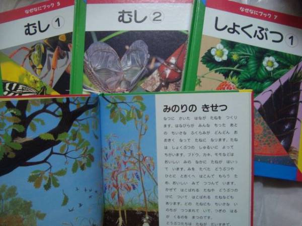 家庭保育園 なぜなにブック 全22巻