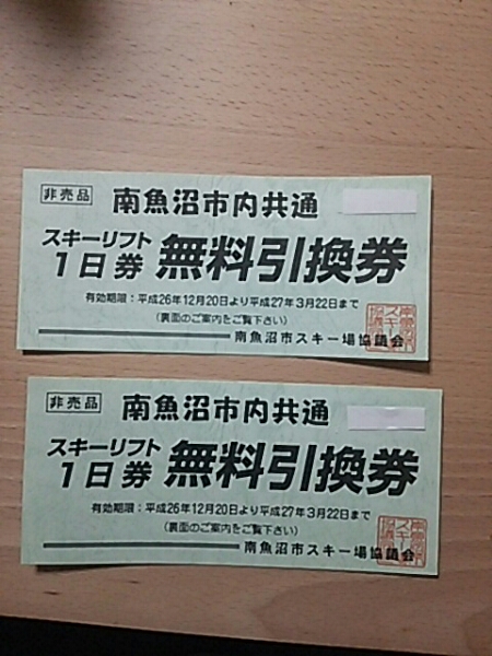 南魚沼市内共通リフト券(石打丸山、舞子、上越国際等)