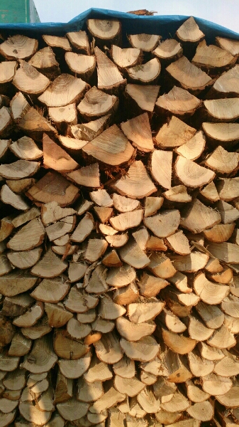 薪 ナラの薪 未乾燥 ★200㎏★送料込 地域限定