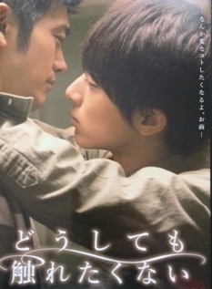 どうしても触れたくない（DVD) 美品　送料無料