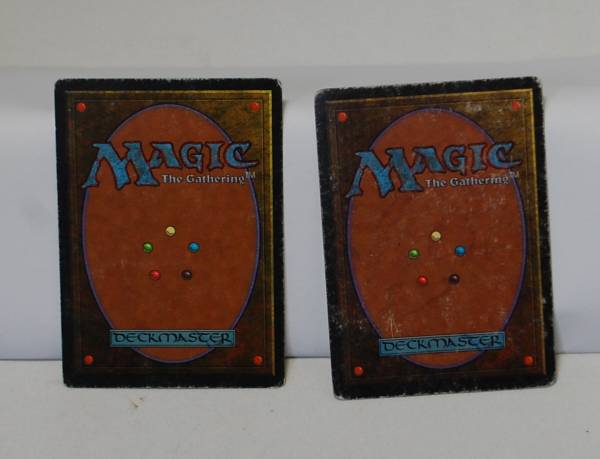 MTG　Bayou　英語版　2枚セット_2