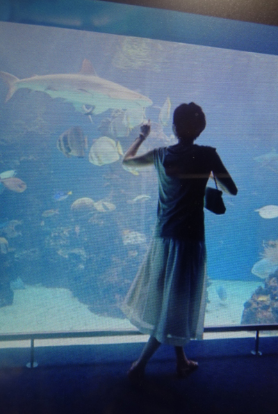 田丸麻紀☆MACAPHEE　ボリューム　チュールスカート白☆