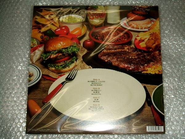 ◆新品◆限定500枚/２LP☆Howdy!! We are ACO Touches the Walls